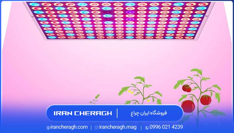 بهترین پروژکتور رشد گیاه و راهنمای انتخاب نور گیاه