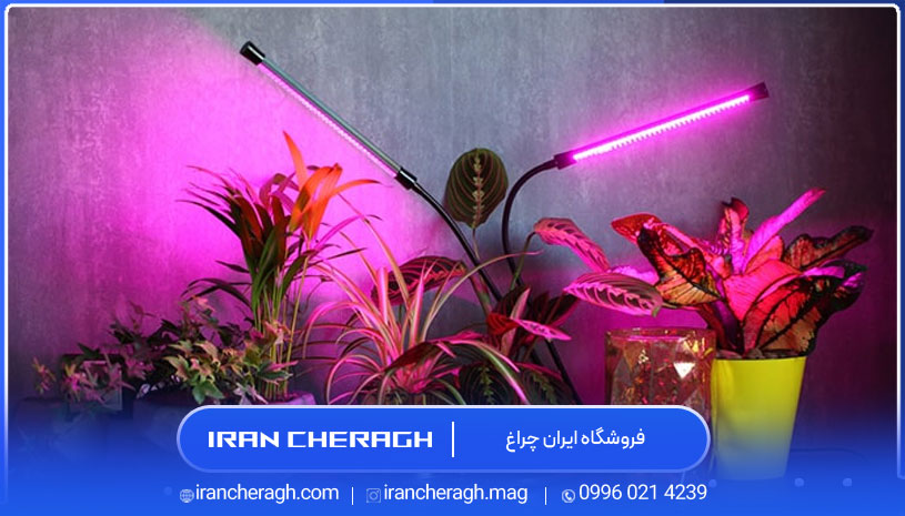 لامپ فلورسنت برای گیاهان
