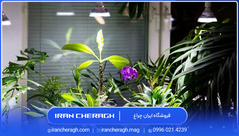 کاربردهای لامپ فلورسنت